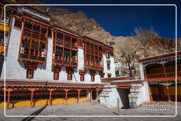 Hemis (12)