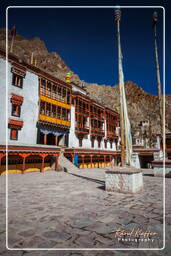 Hemis (43)