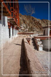 Hemis (49)