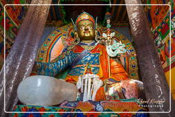 Hemis (118)
