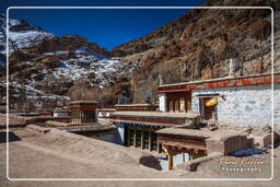 Hemis (134)