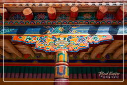 Hemis (152)