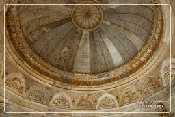 Royal Gaitor Cenotaphs (108)