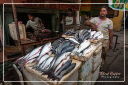 Market, Jaipur (272)