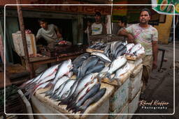 Jaipur (272) Marché