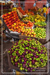 Jaipur (298) Markt