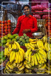 Market, Jaipur (301)