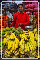 Jaipur (301) Marché