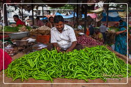 Jaipur (303) Markt