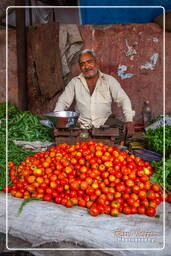 Jaipur (321) Markt