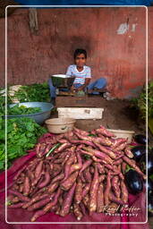 Jaipur (323) Market