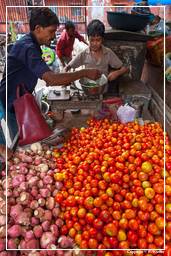 Jaipur (335) Market