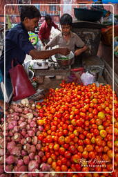 Jaipur (335) Mercato