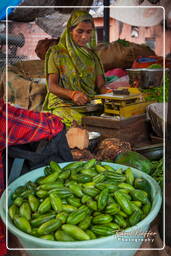 Jaipur (341) Markt