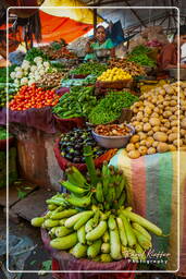 Jaipur (343) Mercado