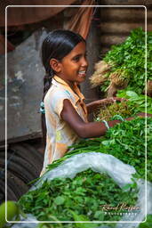 Jaipur (354) Marché