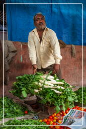 Jaipur (358) Marché