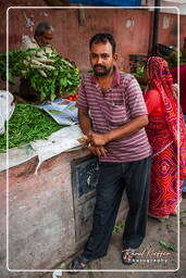 Jaipur (360) Markt