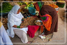 Jaipur (369) Marché