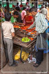 Jaipur (377) Markt