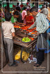 Jaipur (377) Markt