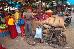 Jaipur (382) Markt