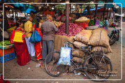 Jaipur (382) Market