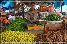 Jaipur (387) Mercado