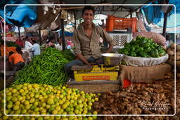 Jaipur (387) Mercato