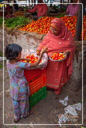 Jaipur (389) Mercato