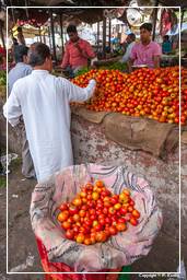 Jaipur (394) Markt