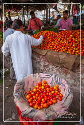 Jaipur (394) Markt