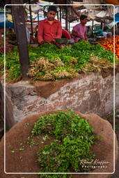 Jaipur (401) Mercato