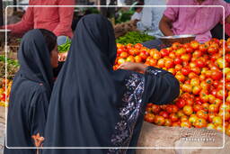 Jaipur (403) Marché