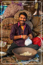 Jaipur (410) Markt