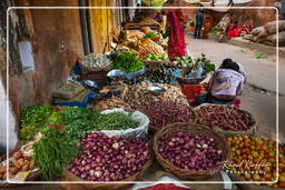 Jaipur (413) Markt