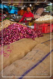 Jaipur (425) Marché