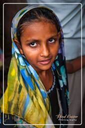Market, Jaipur (429)
