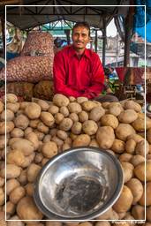 Jaipur (433) Markt