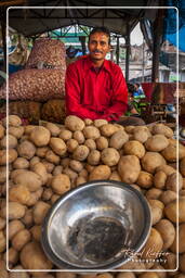 Jaipur (433) Mercato