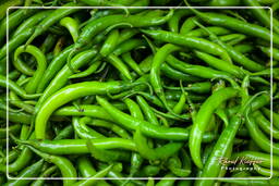 Jaipur (434) Market