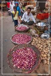 Jaipur (441) Markt