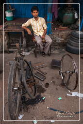 Market, Jaipur (454)