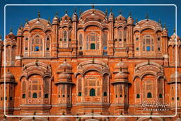 Hawa Mahal (Palace of Winds), Jaipur (595)