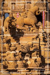 Jain Temple, Jaisalmer (133)