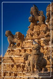 Jain Temple, Jaisalmer (197)