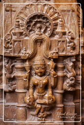 Jain Temple, Jaisalmer (539)