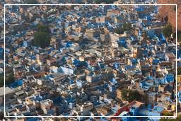 Jodhpur (53) Blaue Stadt