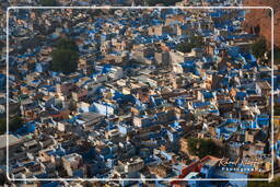 Blue City, Jodhpur (53)