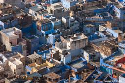 Jodhpur (57) Blaue Stadt